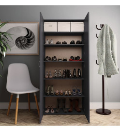 Armoire à chaussures Gris 80 x 35,5 x 180 cm Aggloméré