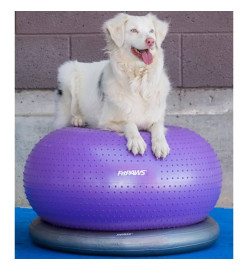 FitPAWS Balle d'équilibre pour animaux de compagnie TRAX Donut 55 cm