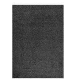 Tapis shaggy à poils longs Anthracite 140x200 cm