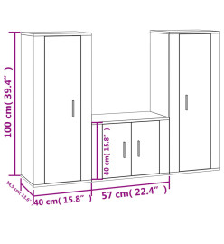 Ensemble de meubles TV 3 pcs Sonoma gris Bois d'ingénierie