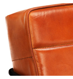 Fauteuil Brun roux Cuir véritable