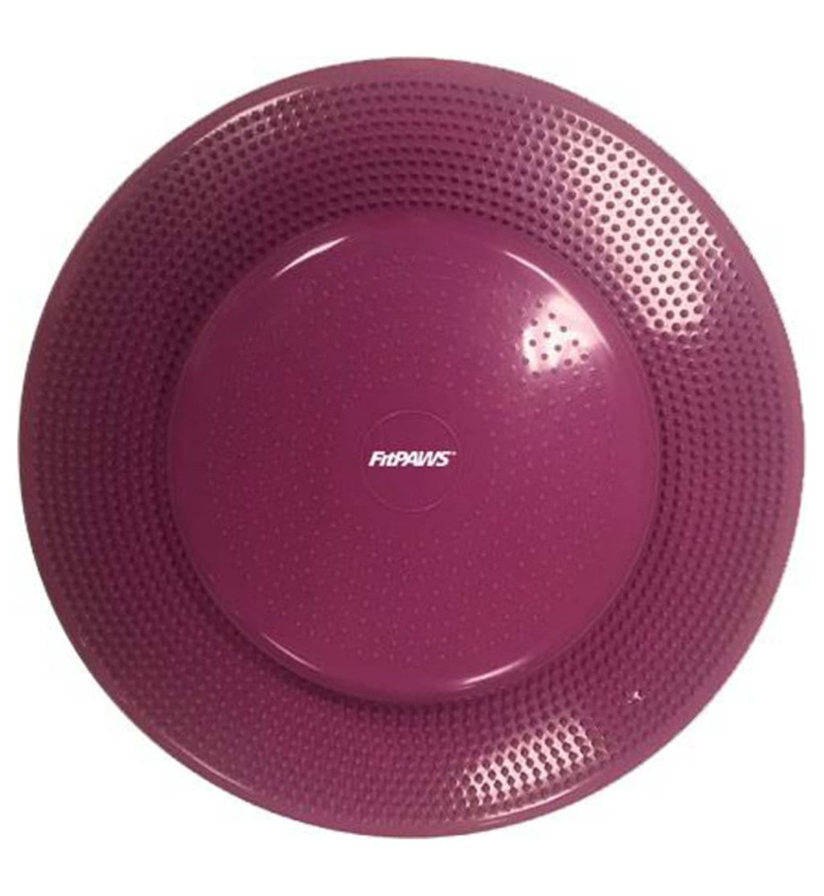 FitPAWS Disque d'équilibre pour animaux de compagnie 56 cm