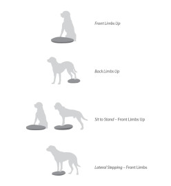 FitPAWS Disque d'équilibre pour animaux de compagnie 56 cm