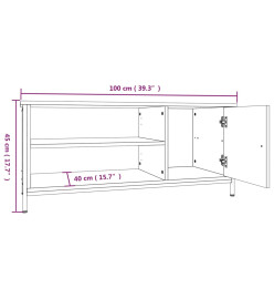 Meuble TV sonoma gris 100x40x45 cm bois d'ingénierie