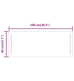 Miroir de salle de bain à LED 40x100 cm