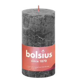 Bolsius Bougies pilier rustiques Shine 4 pcs 130x68 mm Gris orageux