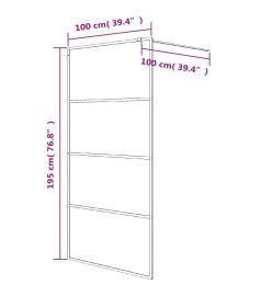 Paroi de douche Argenté 100x195 cm Verre ESG transparent