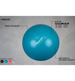 Avento Ballon de fitness/d'exercice Diamètre 55 cm Argenté