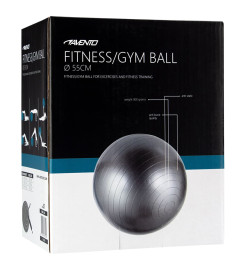 Avento Ballon de fitness/d'exercice Diamètre 55 cm Argenté