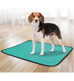 FLAMINGO Tapis de dressage antidérapant lavable Patsy XL Vert