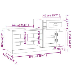 Armoire à chaussures chêne sonoma 100x42x60cm bois d'ingénierie