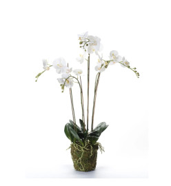 Emerald Phalaenopsis artificiel avec mousse Blanc 90 cm 20.355