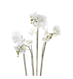 Emerald Phalaenopsis artificiel avec mousse Blanc 90 cm 20.355