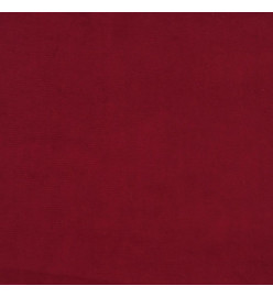 Coussins décoratifs 2 pcs Rouge bordeaux 40x40 cm Velours