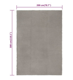 Tapis rectangulaire Gris 200x300 cm Coton