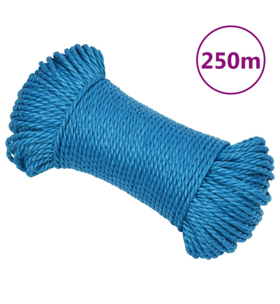 Corde de travail Bleu 6 mm 250 m Polypropylène