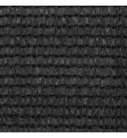 Tapis de tente 250x550 cm Anthracite