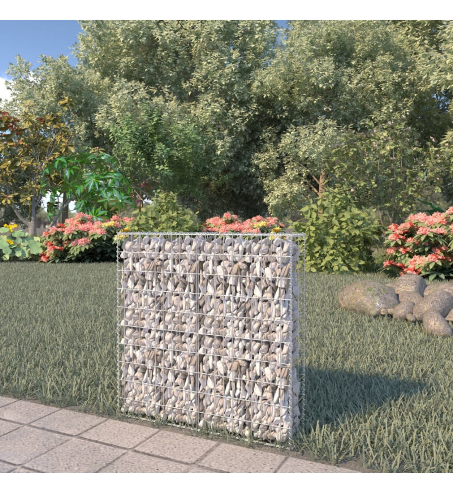 Mur à gabion avec couvercles Acier galvanisé 80x20x100 cm