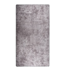 Tapis lavable antidérapant 190x300 cm Gris