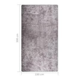 Tapis lavable antidérapant 190x300 cm Gris