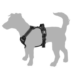 FLAMINGO Harnais pour chiens Balou Noir S 40-55 cm 20mm