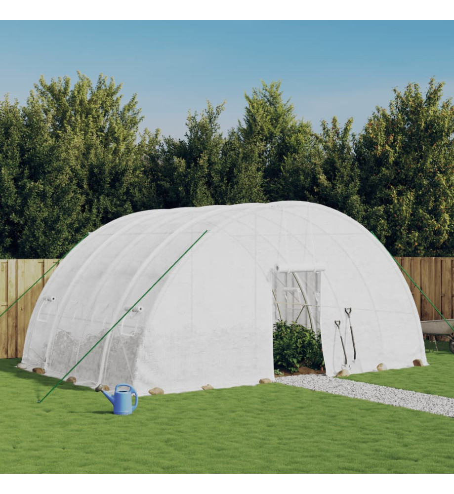 Serre avec cadre en acier blanc 24 m² 6x4x2,85 m