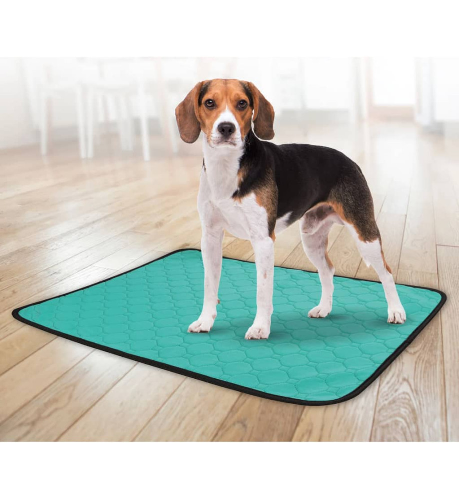 FLAMINGO Tapis de dressage antidérapant lavable Patsy L Vert