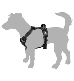 FLAMINGO Harnais pour chiens Balou Noir XS 30-45 cm 15 mm