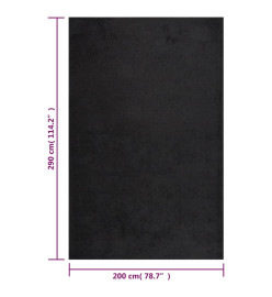 Tapis shaggy à poils longs Noir 200x290 cm