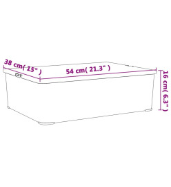 Boîtes de rangement en plastique 3 pcs 25 L empilables