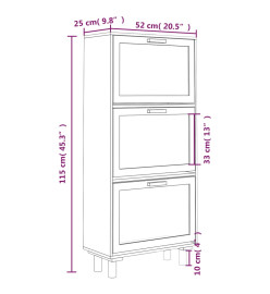 Armoire à chaussures Marron 52x25x115cm Bois d'ingénierie/rotin