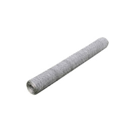 Grillage pour volière Acier galvanisé 25 x 0,5 m Argenté