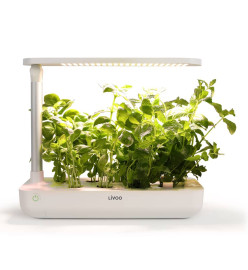 Livoo Jardin d'intérieur 1,2 L 21 W Blanc