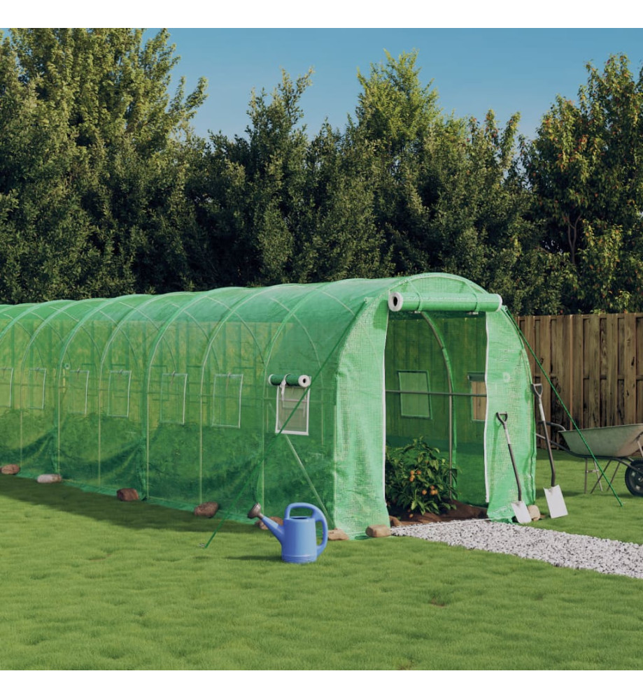 Serre avec cadre en acier vert 44 m² 22x2x2 m