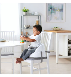 Ingenuity Siège d'appoint pour bébé 2 en 1 Baby Base Ardoise