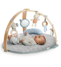 Ingenuity Mini-portique d'activité bébé réversible Cozy Spot
