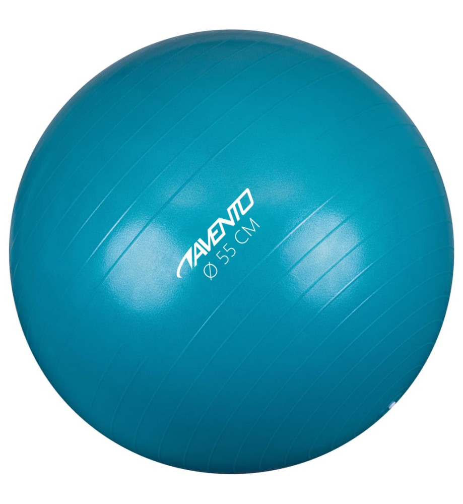 Avento Ballon de fitness/d'exercice Diamètre 55 cm Bleu