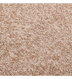 Paillasson Beige 60x80 cm