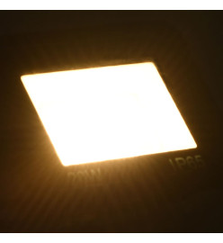 Projecteur à LED 20 W Blanc chaud