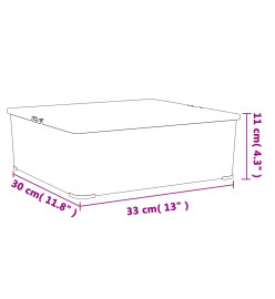 Boîtes de rangement en plastique 12 pcs 5 L empilables