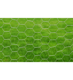 Clôture en treillis Acier galvanisé Hexagonal 1x25 m Argenté