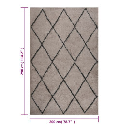 Tapis shaggy à poils longs Beige et anthracite 200x290 cm