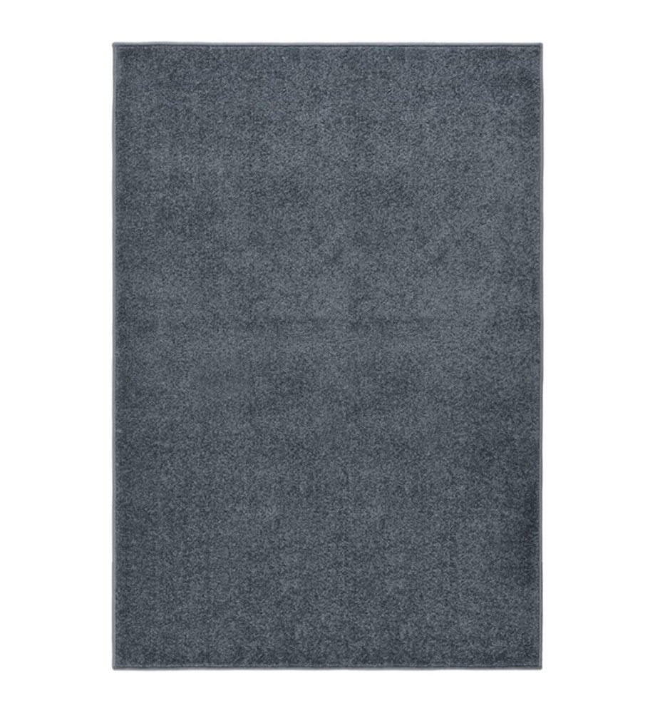 Tapis à poils courts 200x290 cm Anthracite Tapis à poils courts 200x290 cm Anthracite