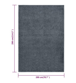 Tapis à poils courts 200x290 cm Anthracite