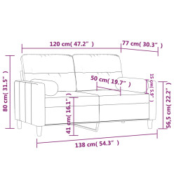 Canapé 2 places avec oreillers gris clair 120 cm tissu