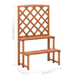 Support de plantes et treillis 70x42x115cm Bois de sapin massif