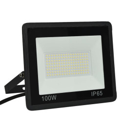 Projecteur à LED 100 W Blanc froid