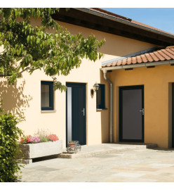 Porte d'entrée anthracite 108x208 cm PVC